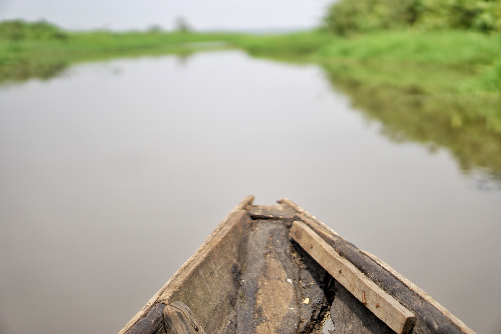 Lagos Dwelling – A Day Go to To Expertise The Epe Mangrove.