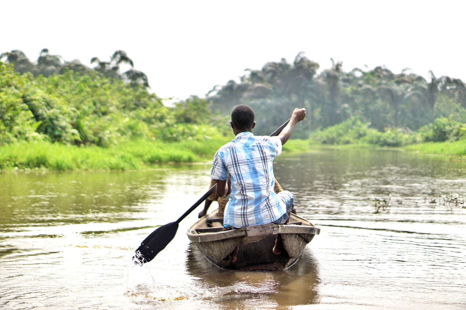 Lagos Dwelling – A Day Go to To Expertise The Epe Mangrove.