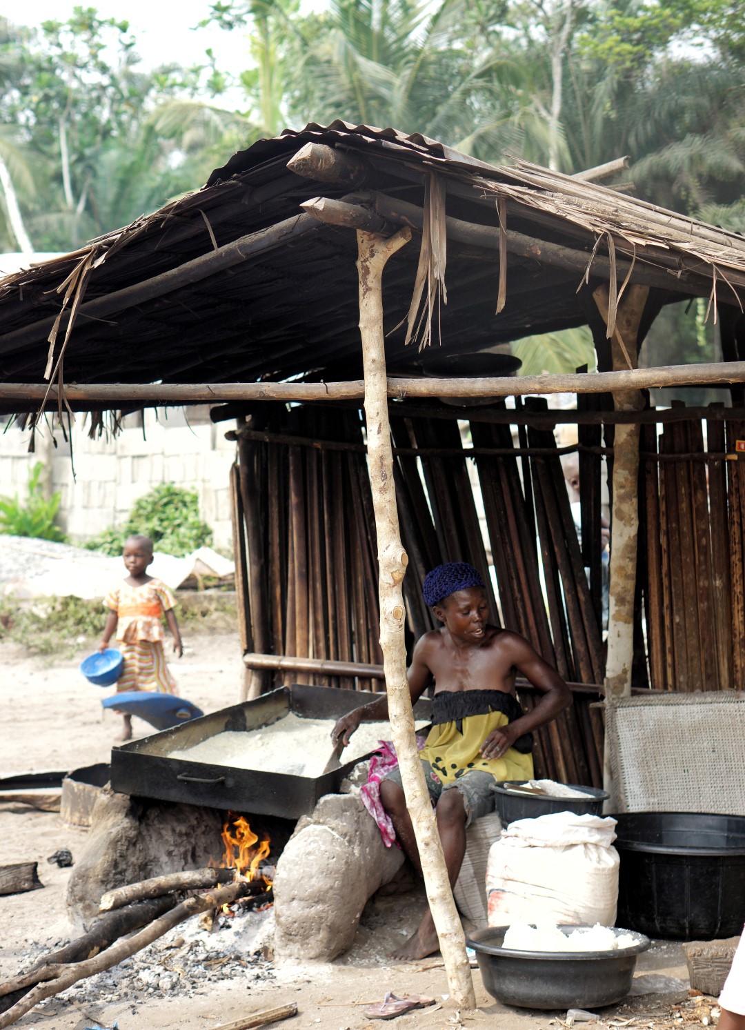 Lagos Dwelling – A Day Go to To Expertise The Epe Mangrove.