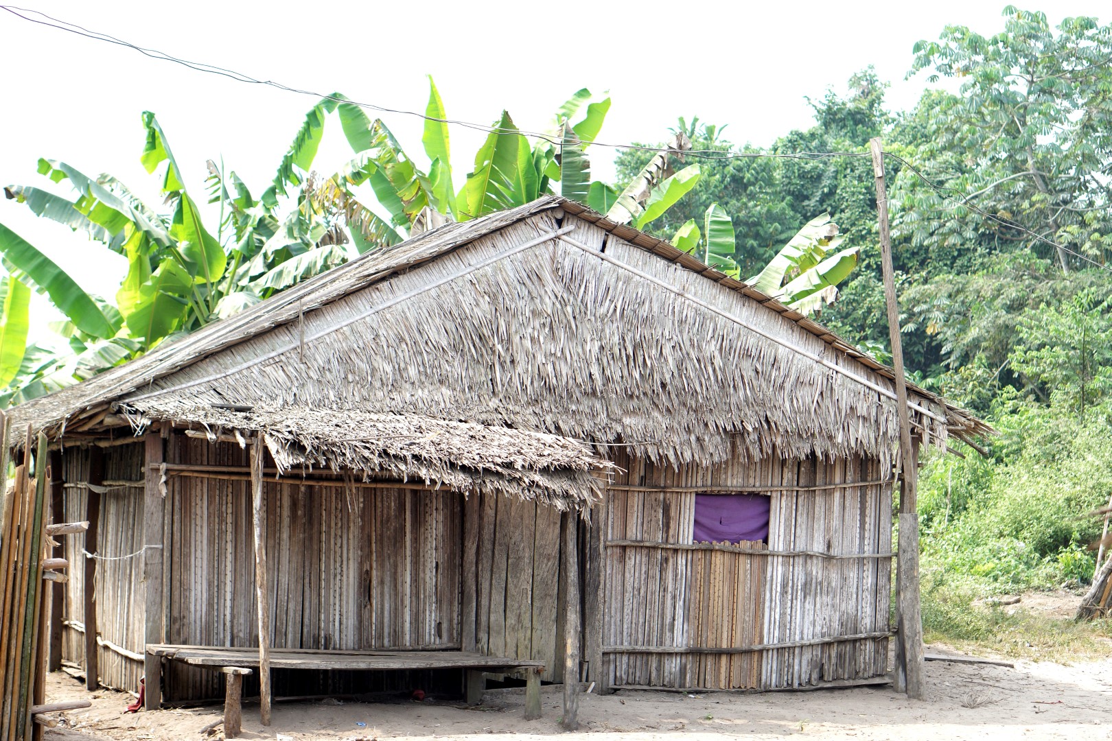 Lagos Dwelling – A Day Go to To Expertise The Epe Mangrove.