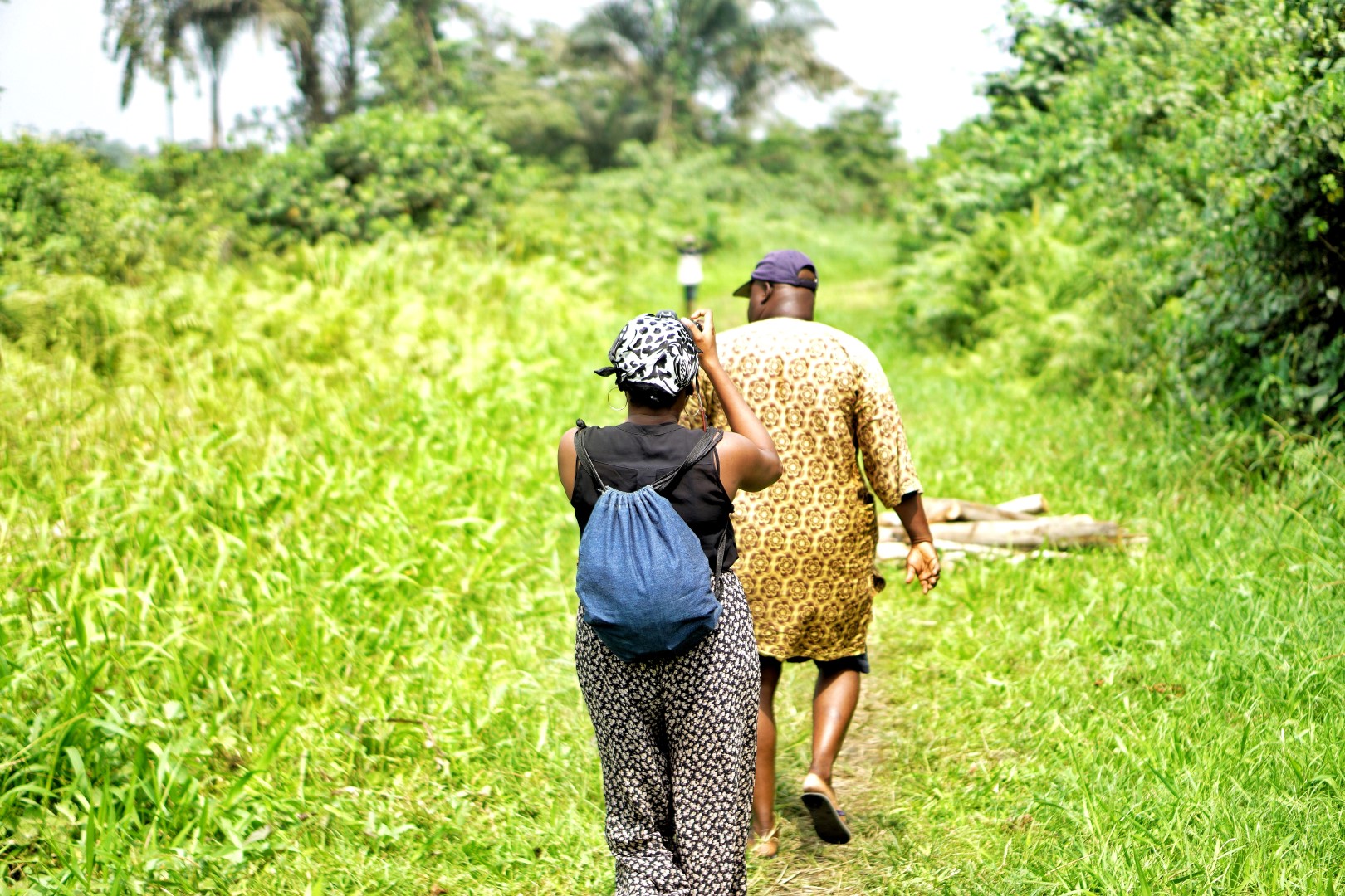 Lagos Dwelling – A Day Go to To Expertise The Epe Mangrove.
