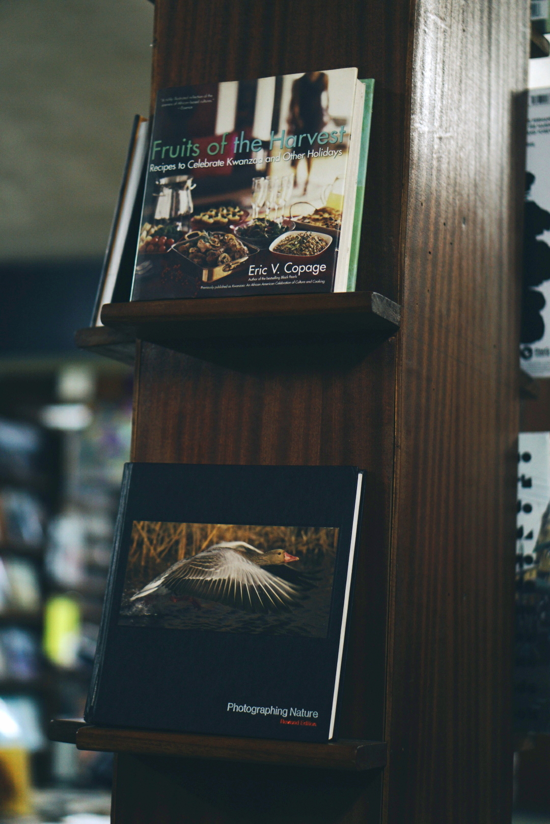 Jazzhole Lagos By way of My Lens || How A Go to Is Rekindling My Love For Studying.
