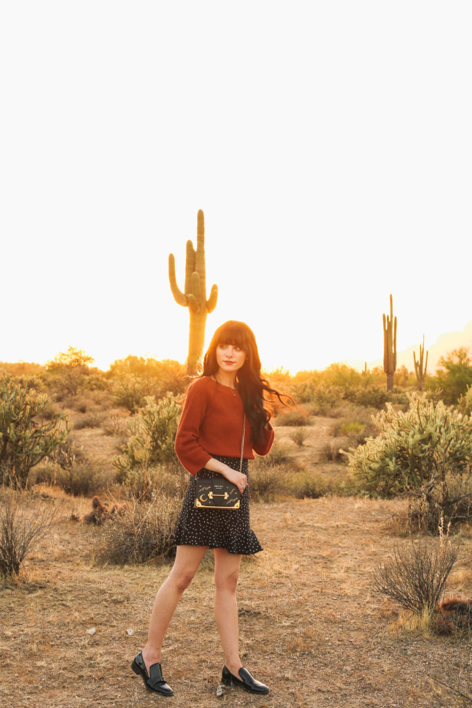 Dwelling within the Desert