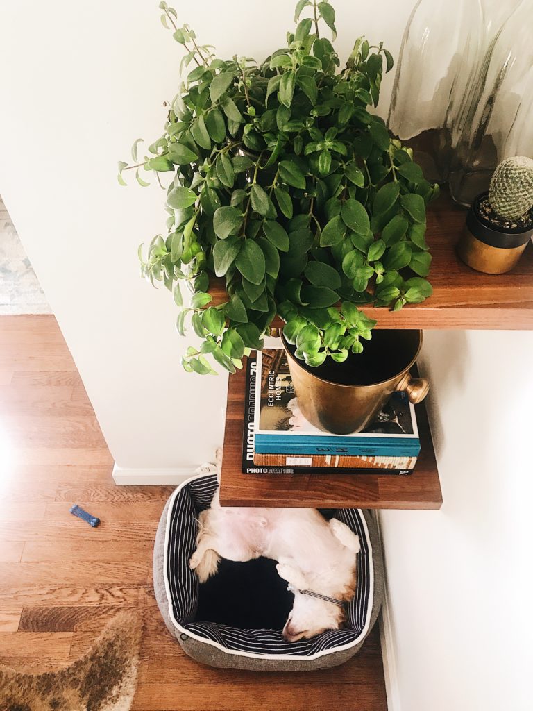 Making a Joyful House + Thoughts