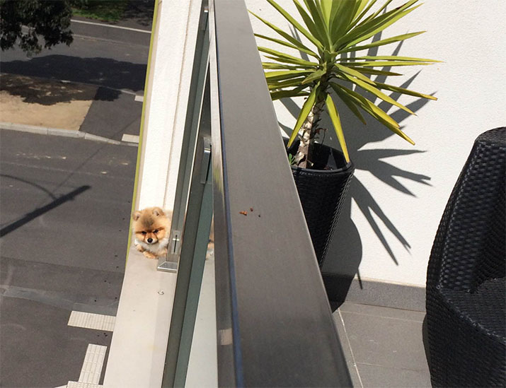 Life and Design in a Submit Pandemic Future Life and Design in a Submit Pandemic Future