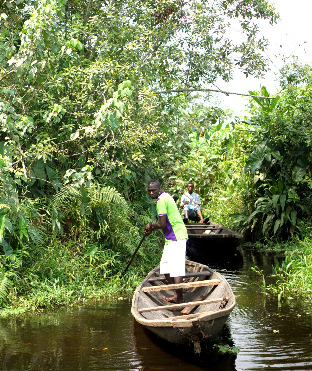 Lagos Dwelling – A Day Go to To Expertise The Epe Mangrove.