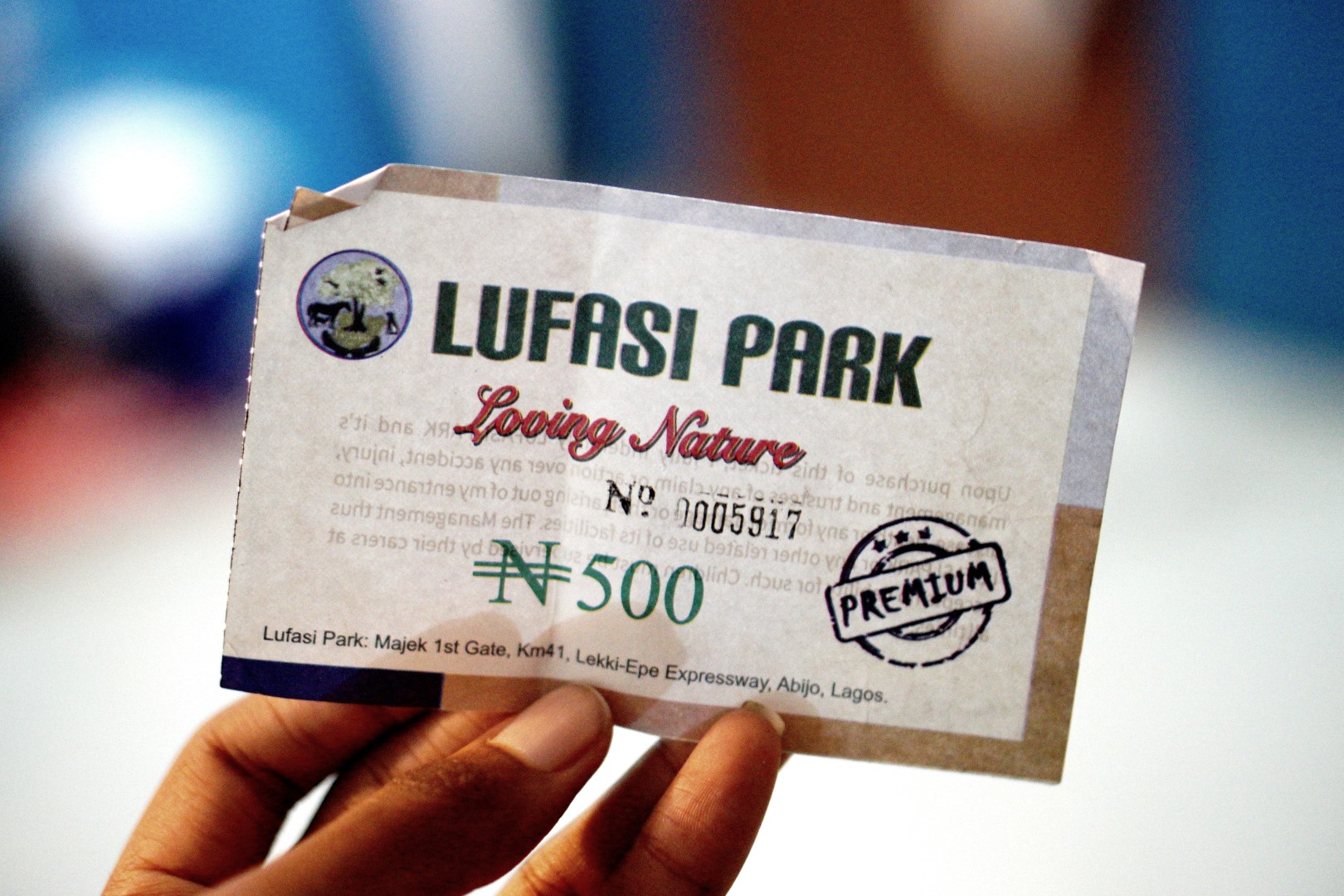 Lagos Dwelling || An Afternoon Exploring Lufasi Park
