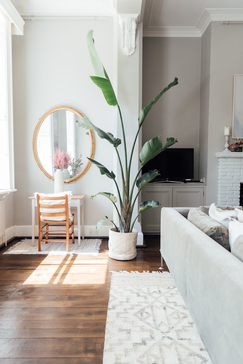 5 Residence Updates for Summer season