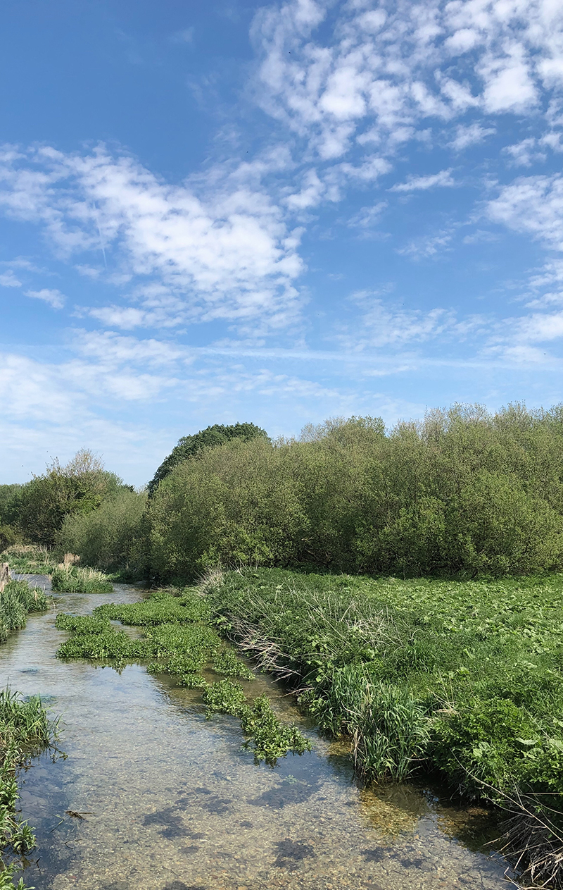 Connecting With Mama Nature ~ 5 Advantages