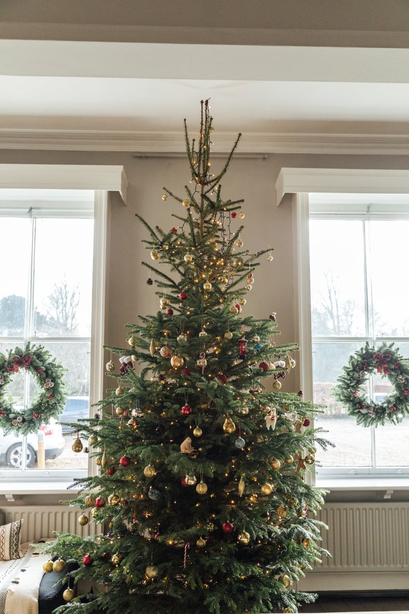 Christmas Decorations Dwelling Tour