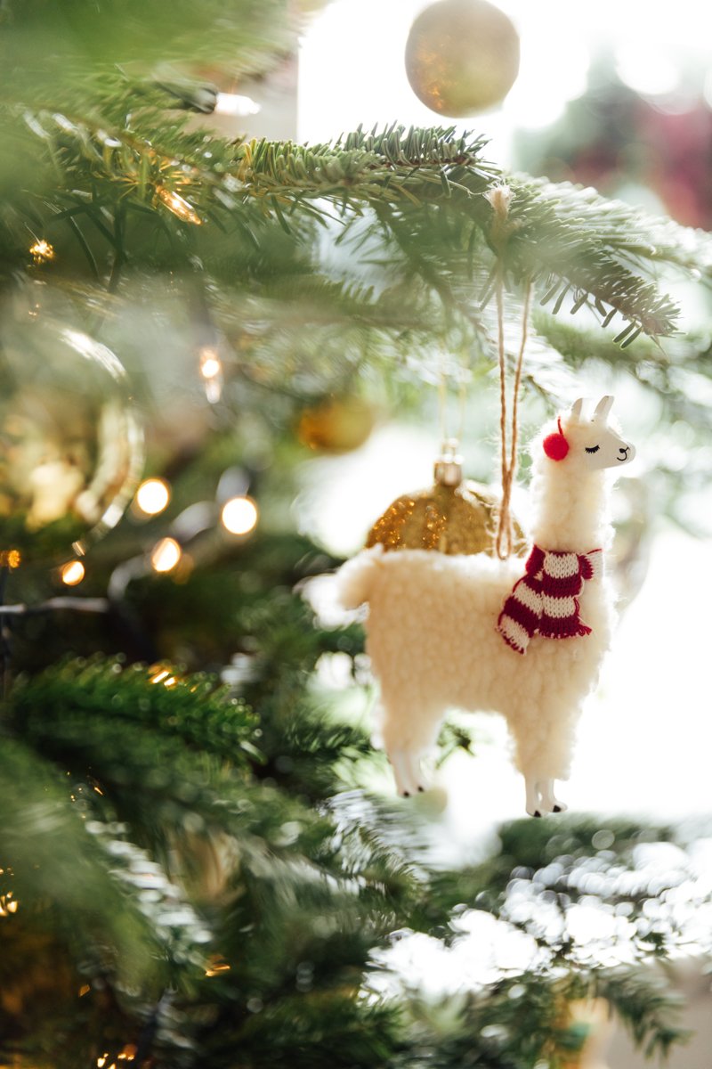 Christmas Decorations Dwelling Tour