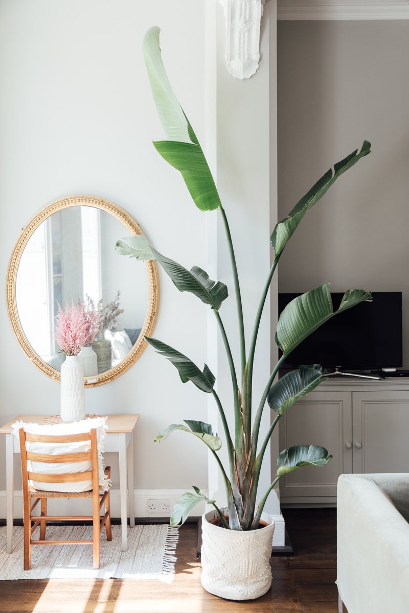 5 Residence Updates for Summer season