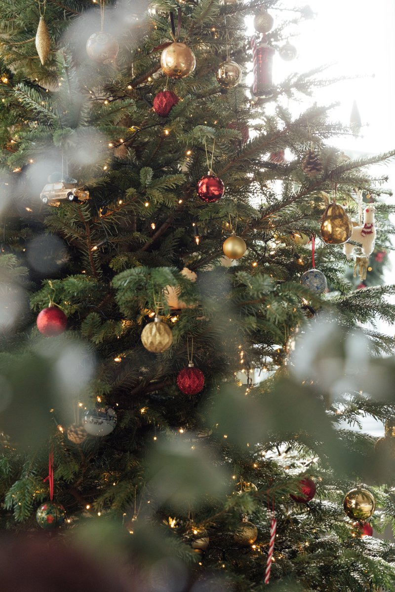 Christmas Decorations Dwelling Tour